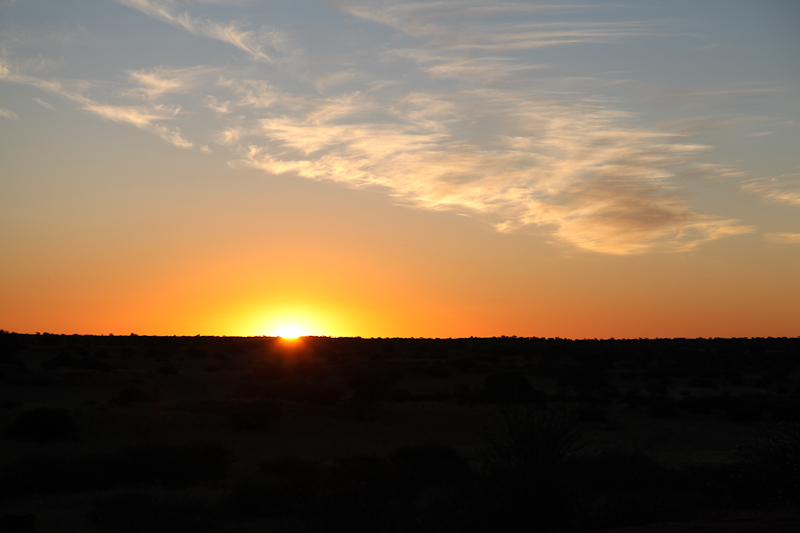Kalahari Sundown Drive