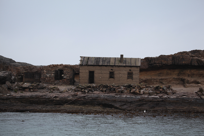 Lüderitz Halifax Island