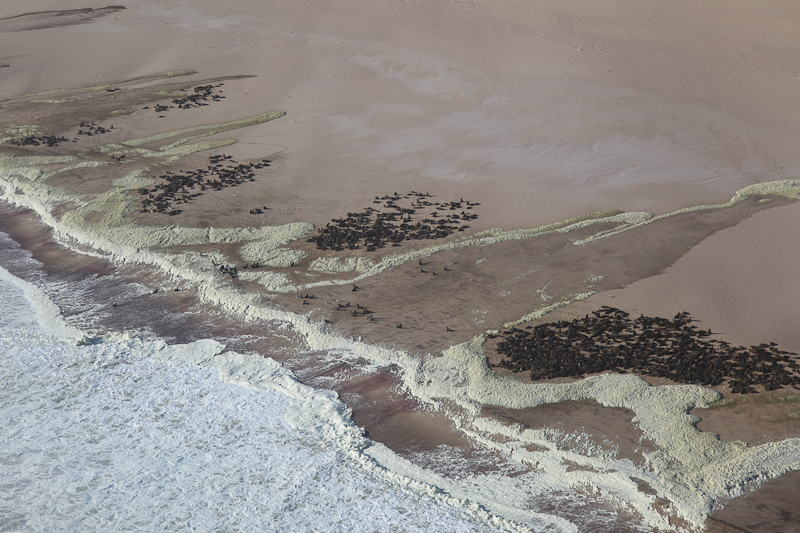 Skeleton Coast
