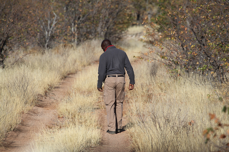 Gootberg Rino Tracking