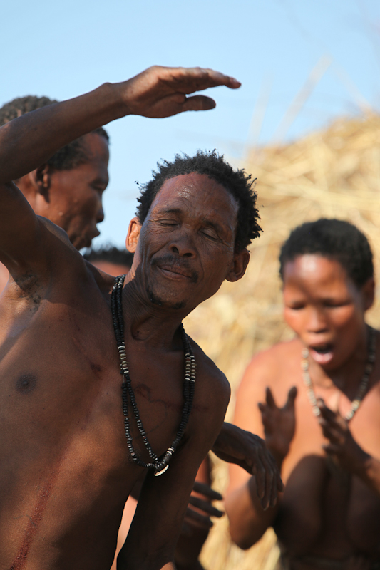 Bushman