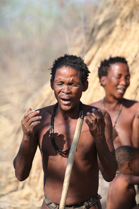 Bushman