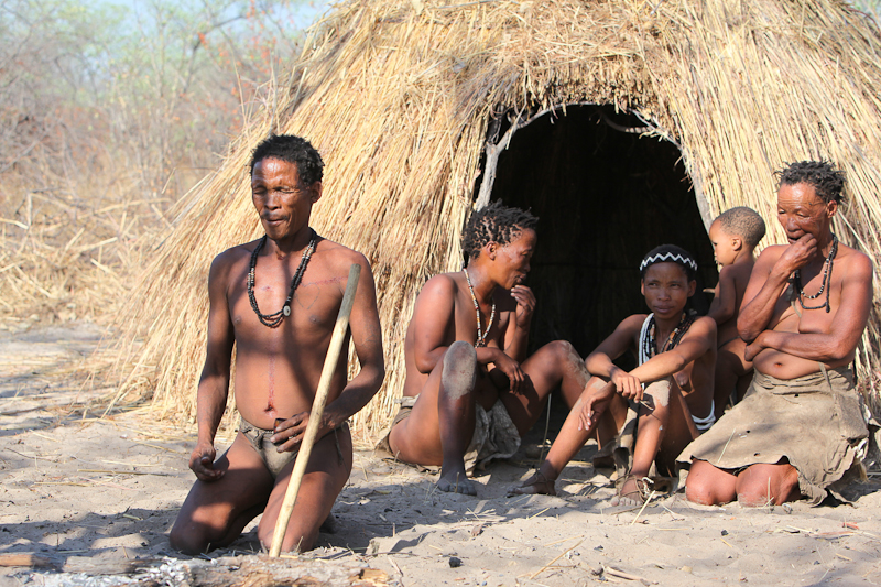 Bushman