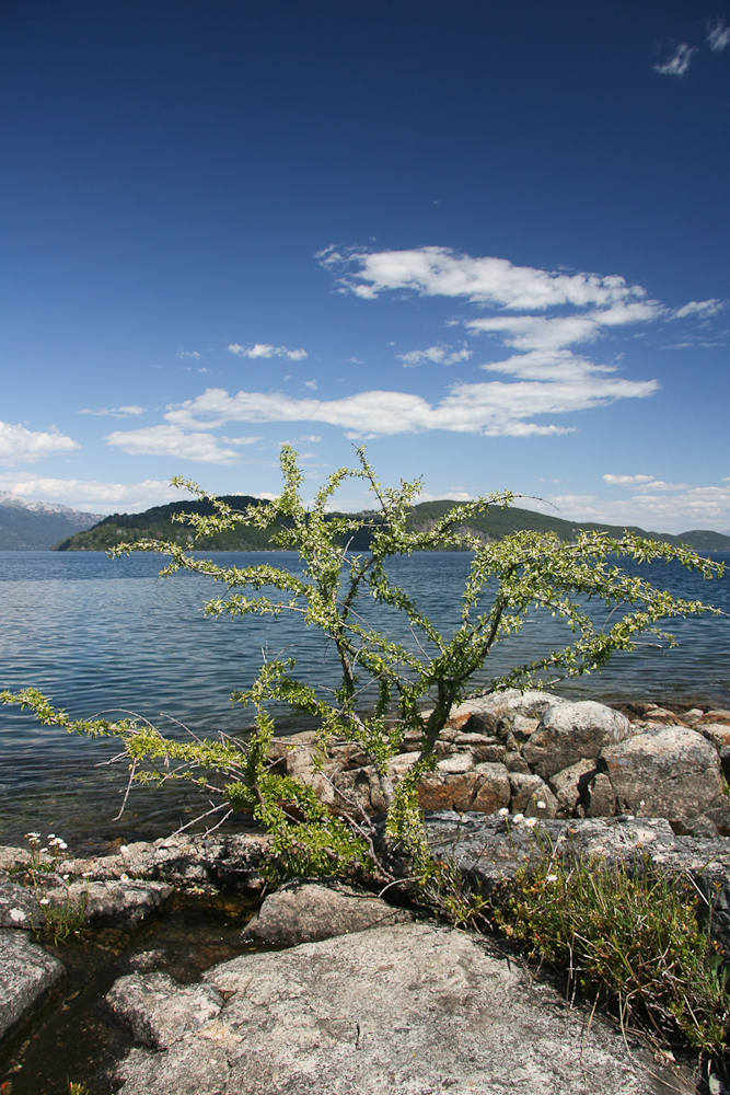 Lago Nahuel Huapi