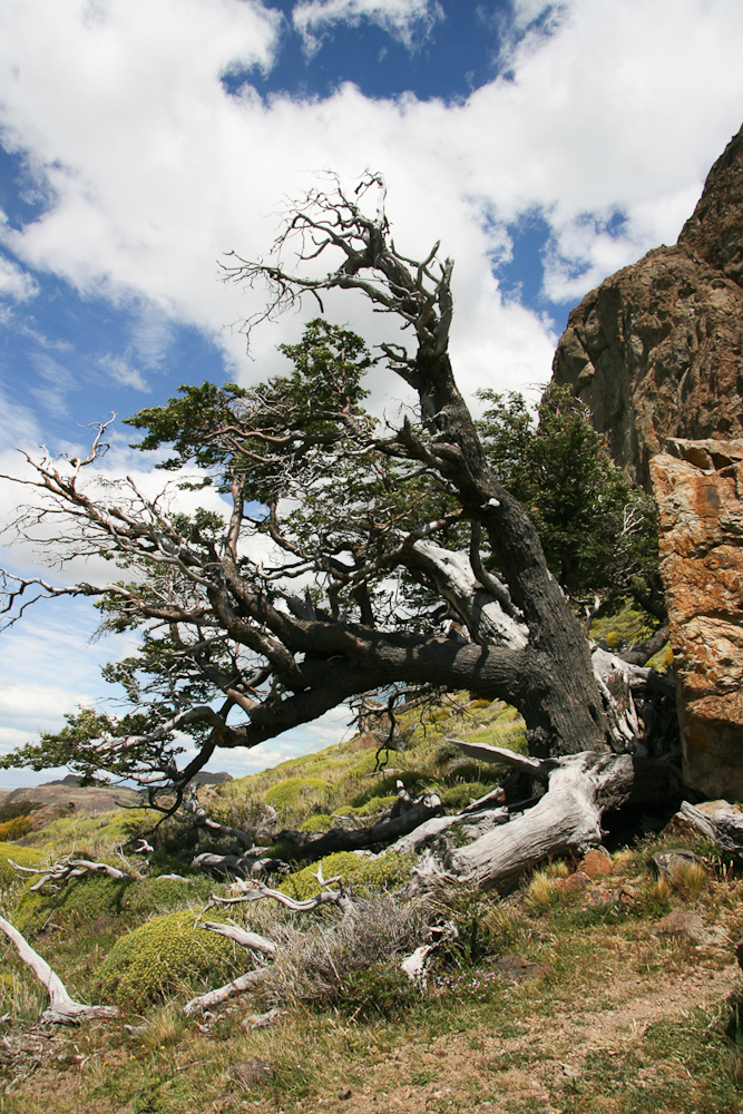 El Chalten