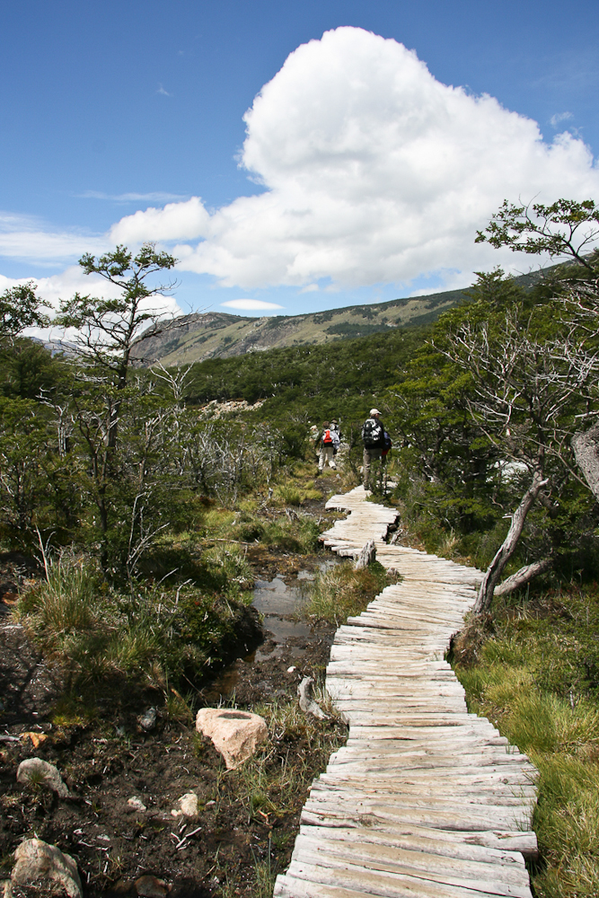 Laguna Torre 