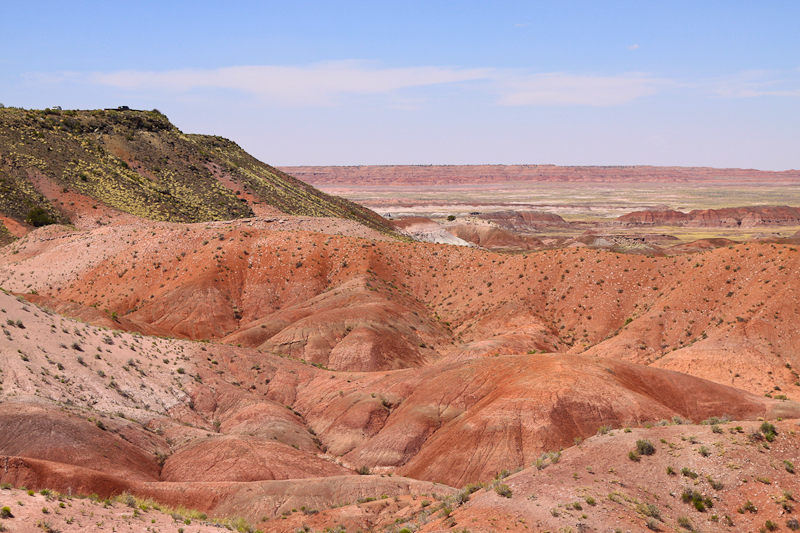 Painted Dessert NP